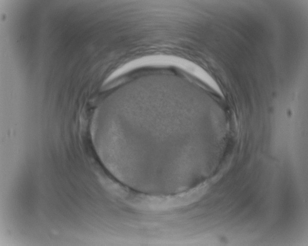 X0000081390037200701252115