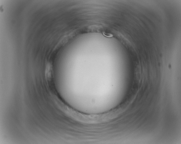 X0000081390038200701252115