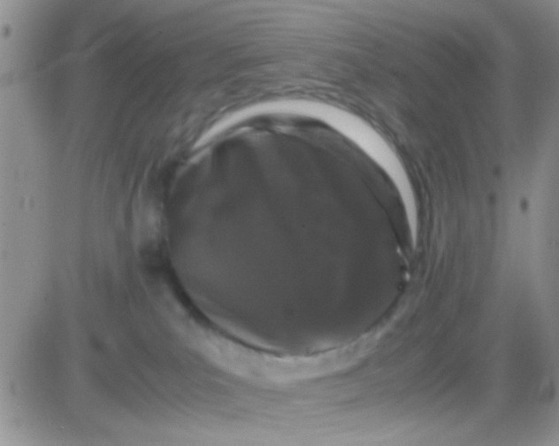 X0000081390039200701252115