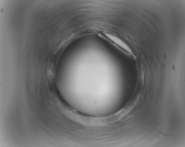 X0000081390040200701252115