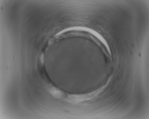 X0000081390041200701252115