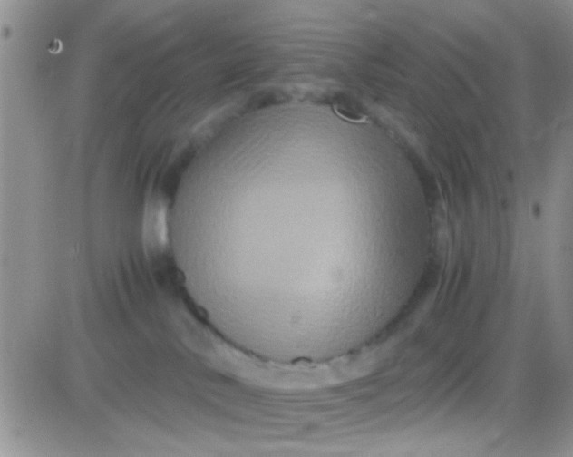 X0000081390042200701252115