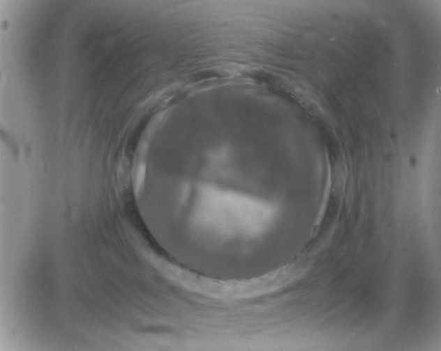 X0000081390043200701252115