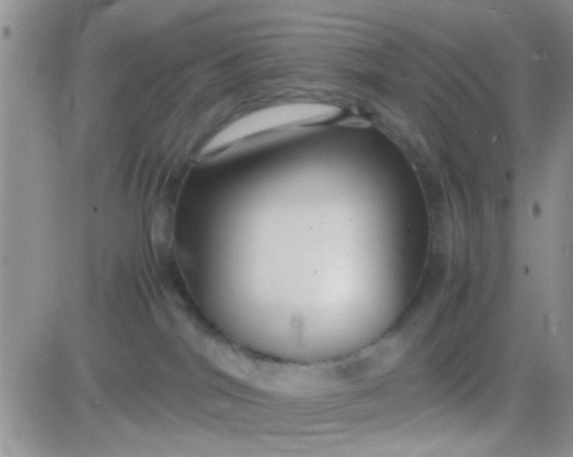 X0000081390044200701252115