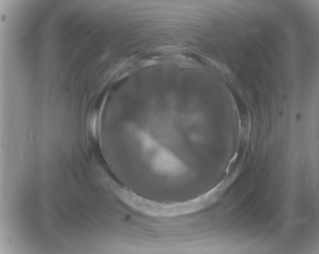 X0000081390047200701252115