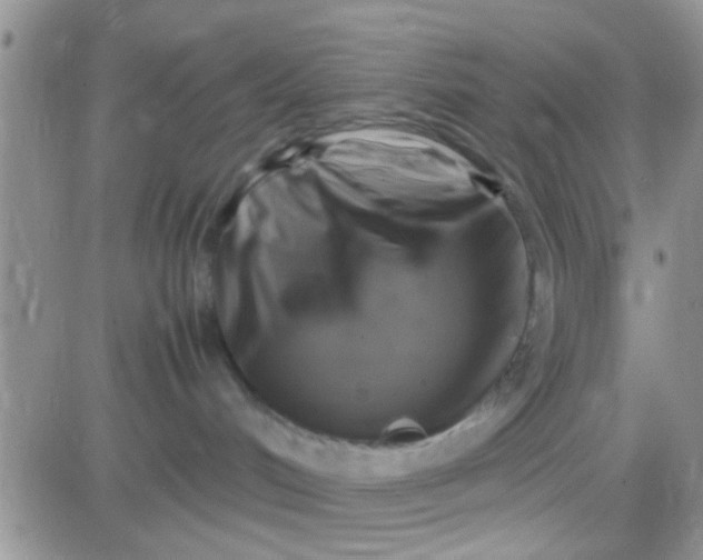 X0000081390048200701252115