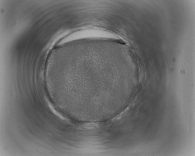 X0000081390050200701252114