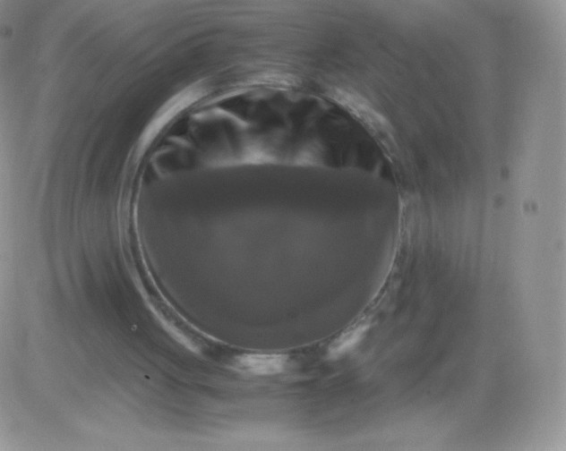 X0000081390051200701252114