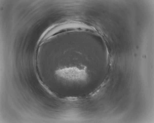 X0000081390052200701252114