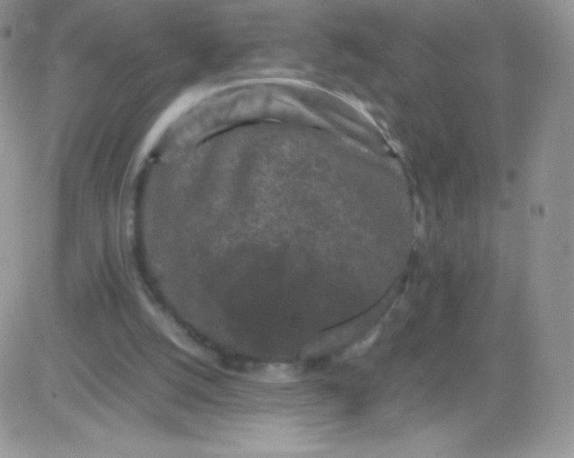 X0000081390056200701252114