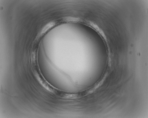 X0000081390057200701252114