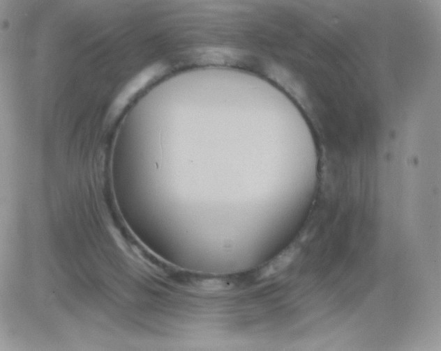 X0000081390058200701252114