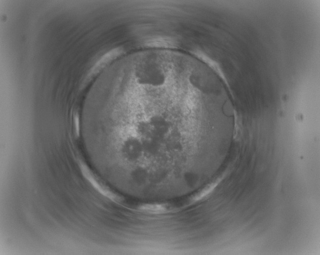 X0000081390061200701252115