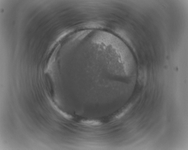 X0000081390063200701252115