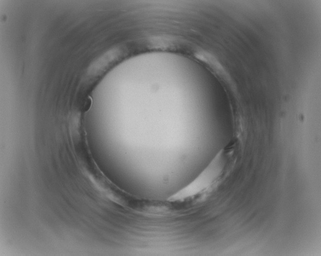 X0000081390066200701252115