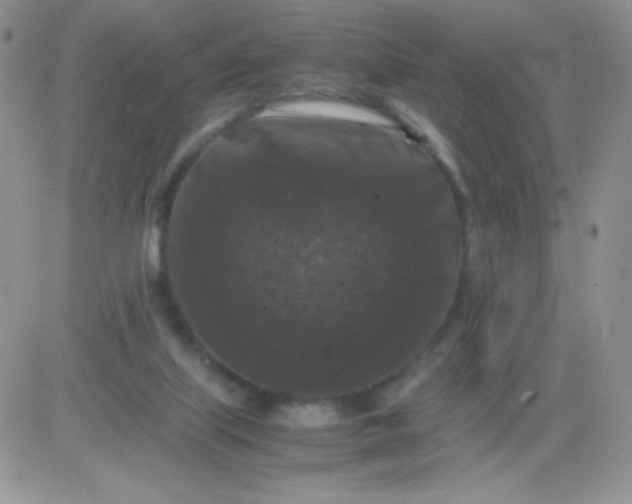 X0000081390067200701252115