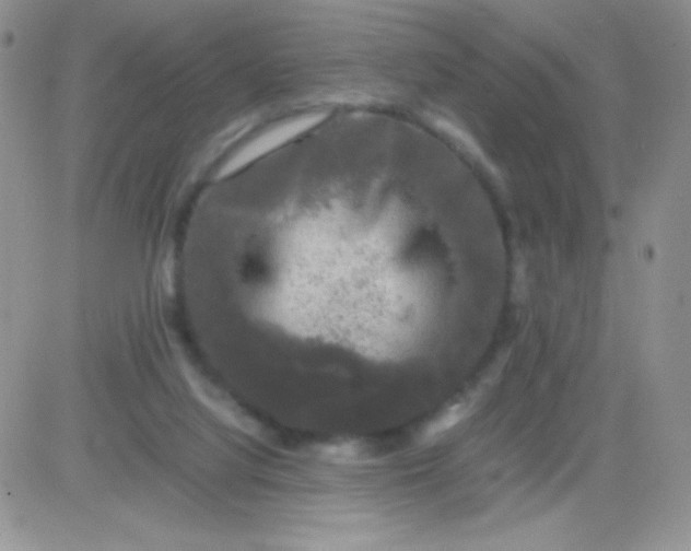 X0000081390068200701252115