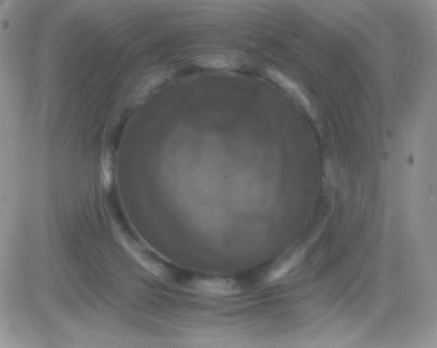 X0000081390069200701252115