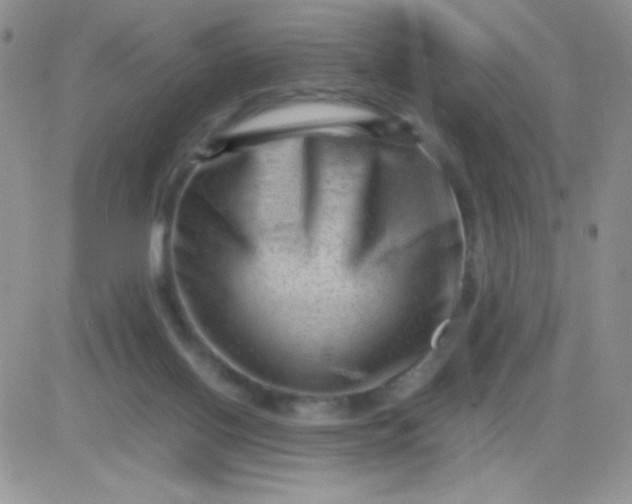 X0000081390070200701252115