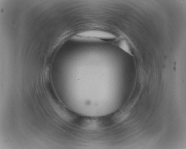 X0000081390071200701252115