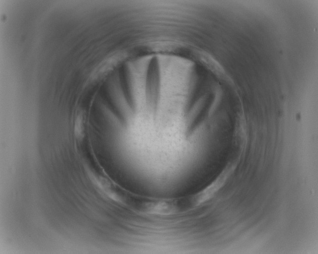 X0000081390074200701252115