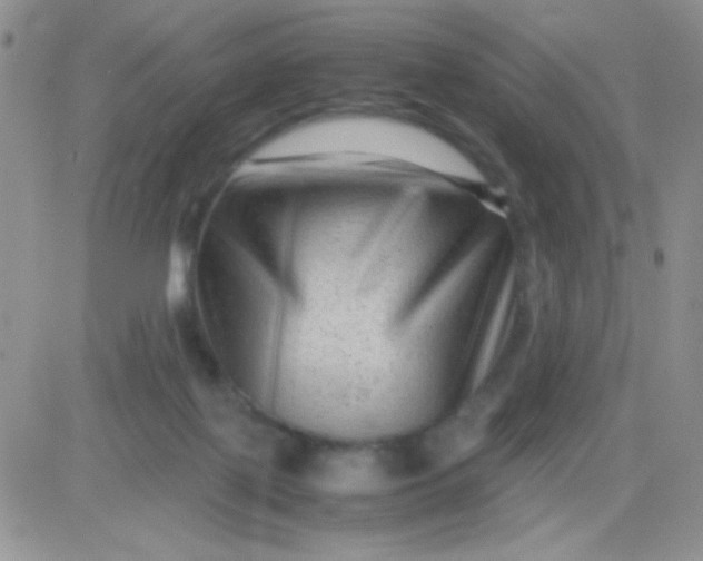 X0000081390075200701252115