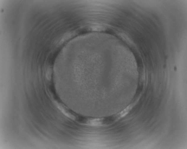 X0000081390078200701252115