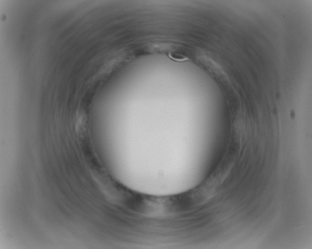 X0000081390079200701252115