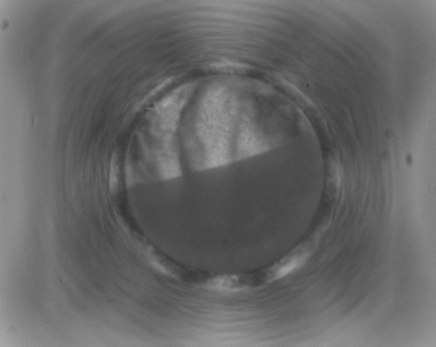 X0000081390080200701252115