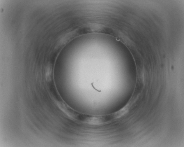 X0000081390082200701252115