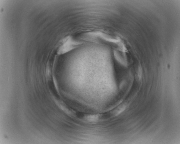 X0000081390084200701252115