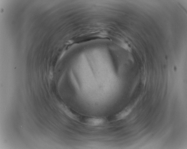 X0000081390085200701252115