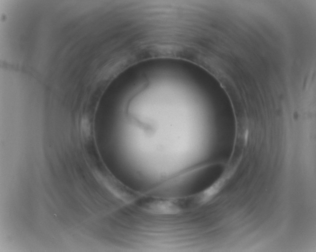 X0000081390086200701252115