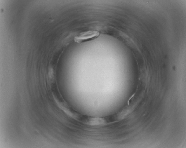 X0000081390087200701252115