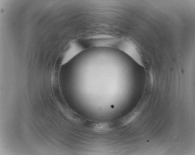 X0000081390088200701252115