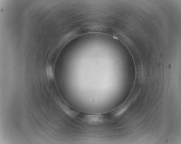 X0000081390089200701252115