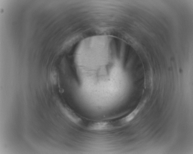 X0000081390090200701252115