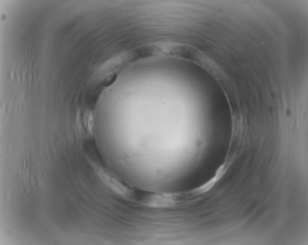 X0000081390094200701252115