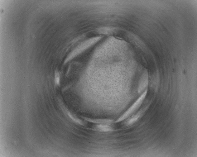 X0000081390095200701252115