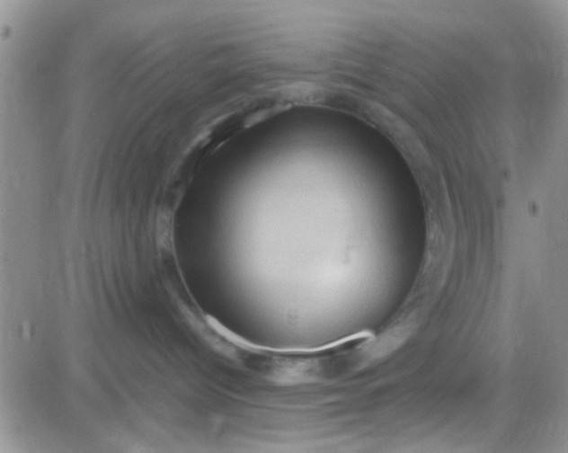 X0000081390096200701252115