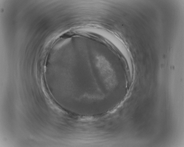 X0000081390097200701252114