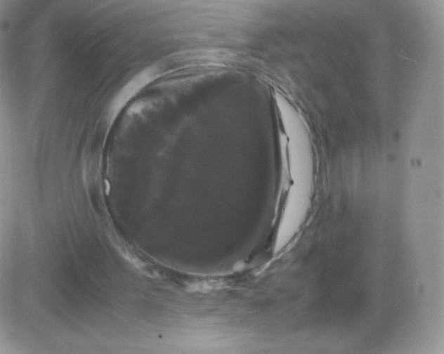 X0000081390099200701252114