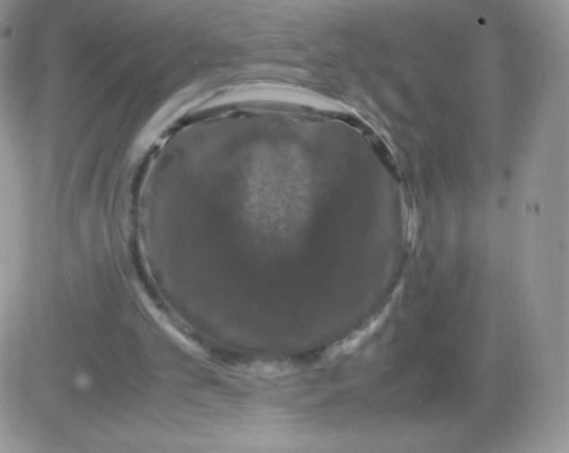 X0000081390101200701252114