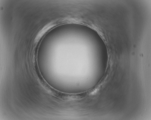 X0000081390103200701252114