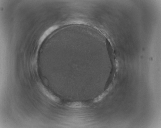 X0000081390104200701252114