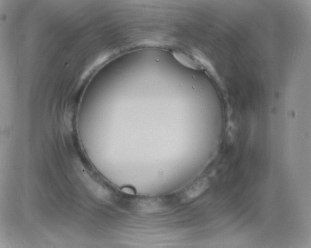 X0000081390106200701252114