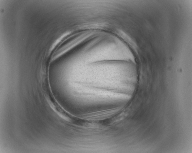 X0000081390107200701252114