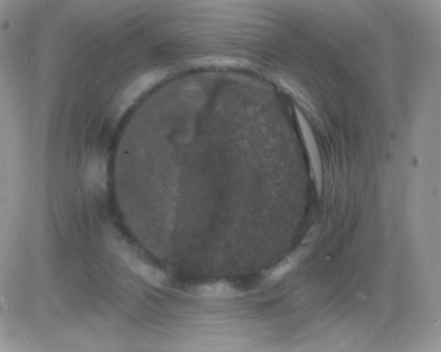 X0000081390112200701252114