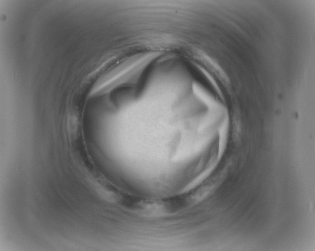 X0000081390113200701252114