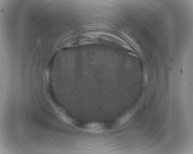 X0000081390117200701252114